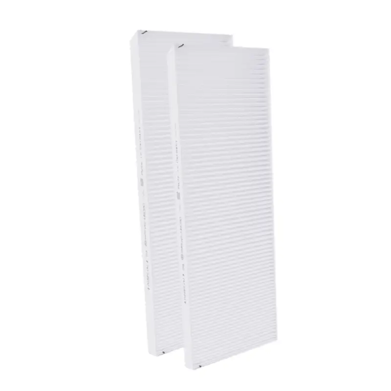 Filter Coarse 65% geschikt voor Buva EcoStream (2st.) Betrouwbaar