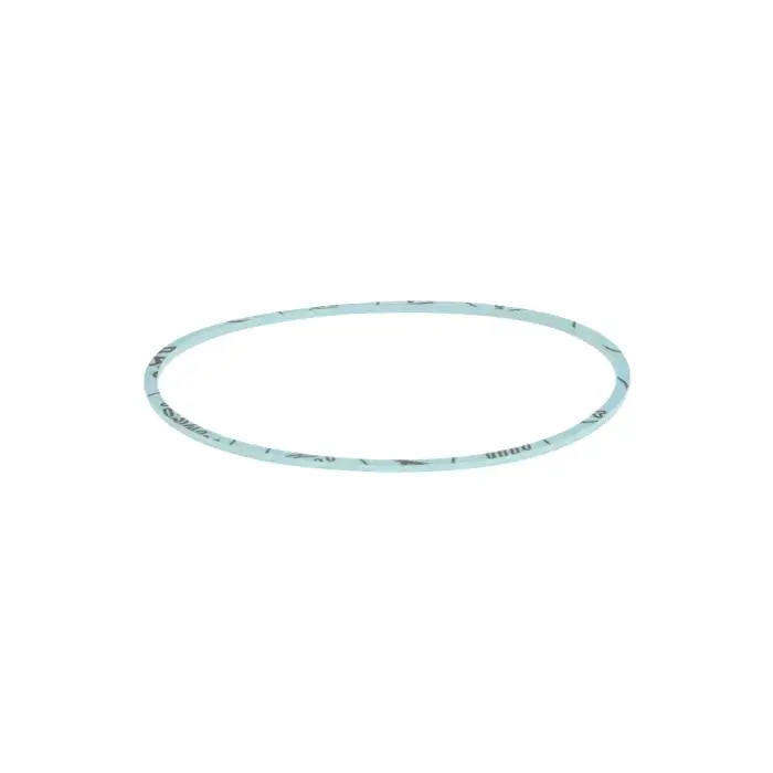 Nieuw Bosch / Siemens Pakking 00173565