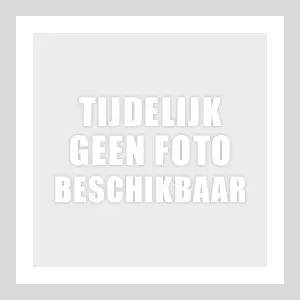 Gastro-M Gastro M onderstel voor modellen met 4 en 6 roosters Hoge Kwaliteit