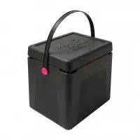 Beperkte Voorraad Thermo Future Box Thermo box | 20 liter | Draaghendel | 300x220x310 mm