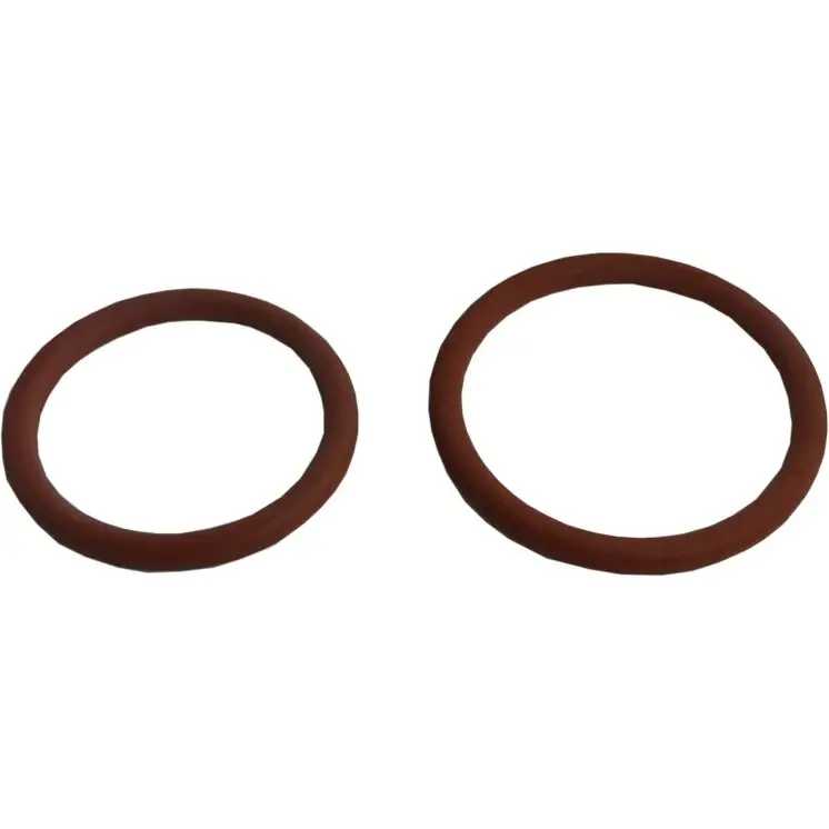 Gaggia O-Ringen Betaalbaar