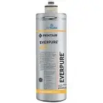 Everpure AC2 Waterfilter EV9605-80 Finale Uitverkoop