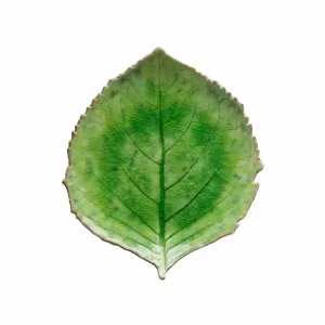Populair Costa Nova Bord Hydrangea Leaf Riviera Tomato Green 22cm