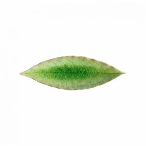 Must-Have Costa Nova Schaaltje Laurier Leaf Riviera Tomato Green 18cm