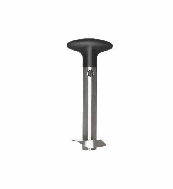 Dagaanbieding C&T Ananassnijder RVS
