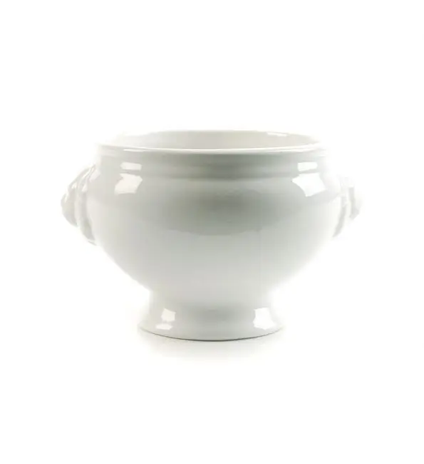 BonBistro Flavor Soepkom leeuwenkop wit 11xH9cm Gecertificeerd