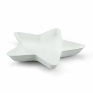 Sier Bagastro Ster Ø140xH20mm | 20 stuks Aanbieding