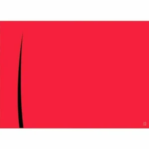 Placemats Bari rood-zwart 30x40cm 500 stuks Koop Vandaag