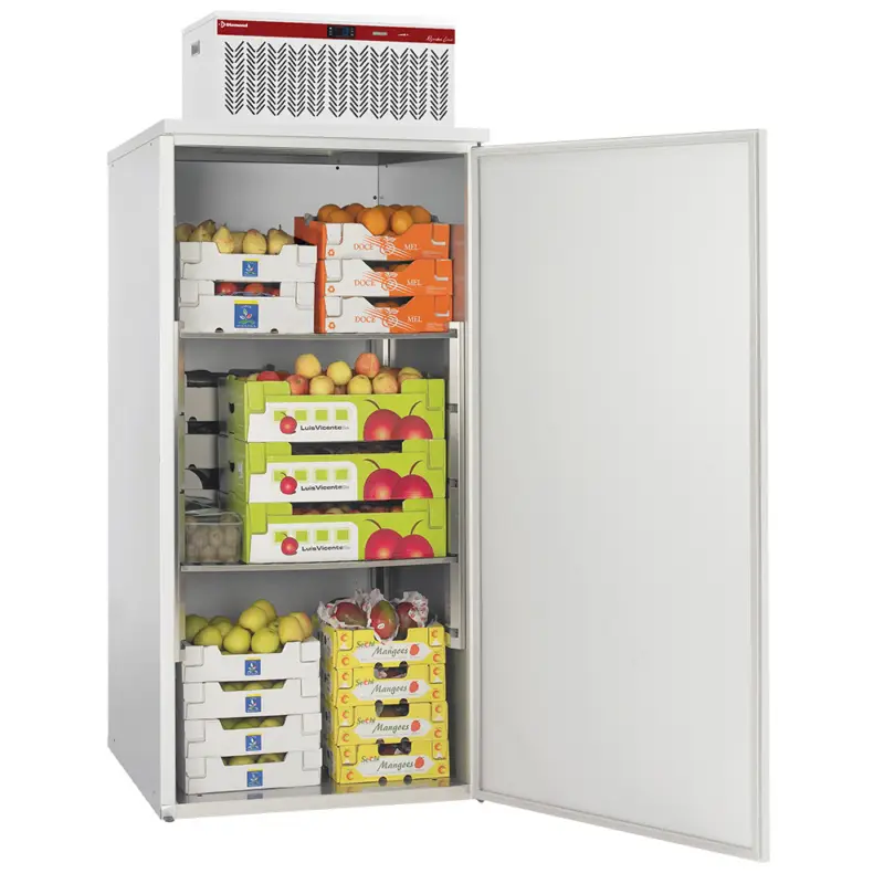 Diamond Mini-Koelcel REFRIBOX | Incl. Koelmotor | 1.33m³ | +2/+8°C | Isolatie 40mm | 935x995x1842mm Uitverkoop
