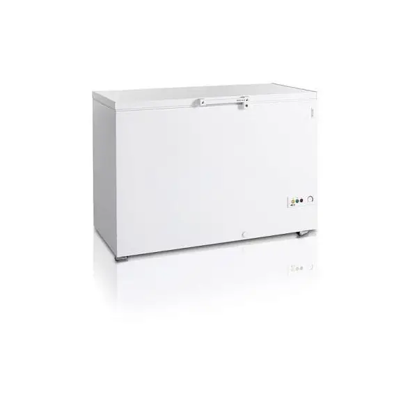 Betrouwbaar Tefcold FR405 vrieskist