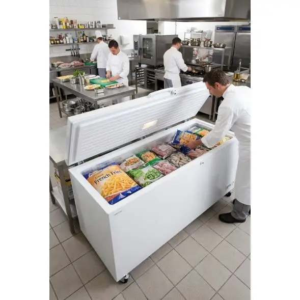 Korting Tefcold CF700 SL diepvrieskist