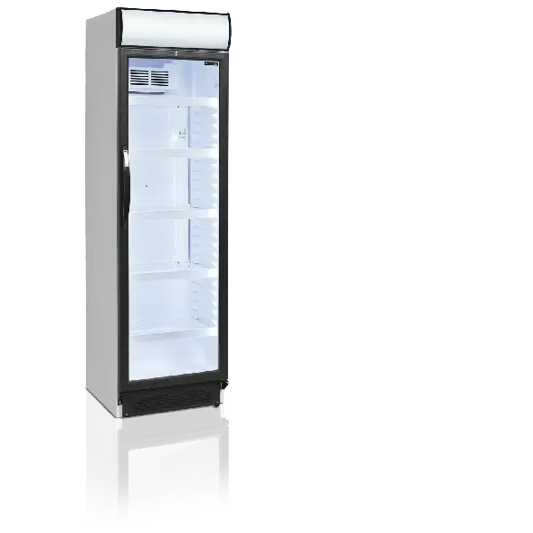 Tefcold CEV425CP 2LED RECHTS Hete Deal