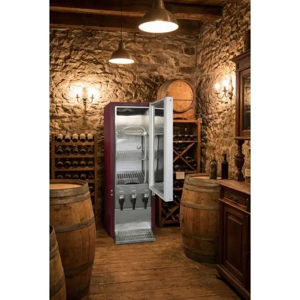 Beperkt Aanbod Tefcold BIB dispenser DKS95-3/10L