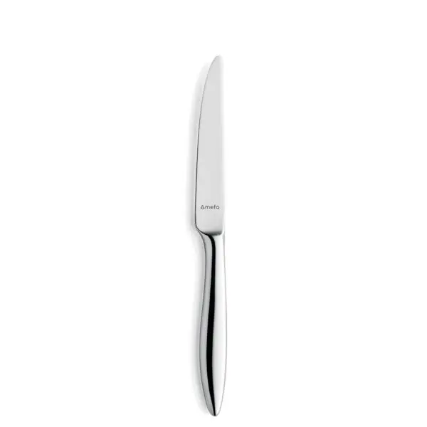 Meest Verkocht Tafelmes 9090 tendence 23.3 cm 13/0 18/10