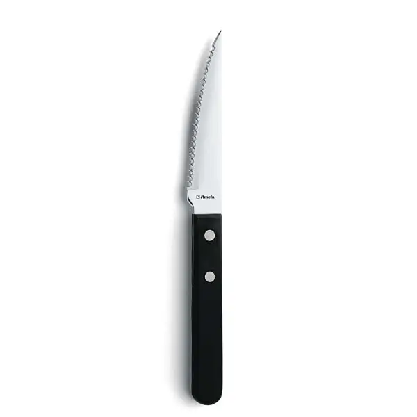 Veilige Betaling Steakmes 7000 steak 21 cm 13/0 ds