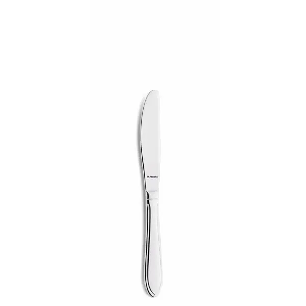 Alleen Vandaag Fruit/cocktailmes 0900 filet 17 cm 13/0 18/0 ds