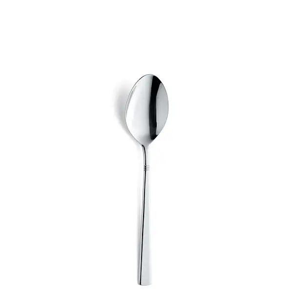 Beperkte Voorraad Tafellepel 8410 palmon 19.5 cm 18/10