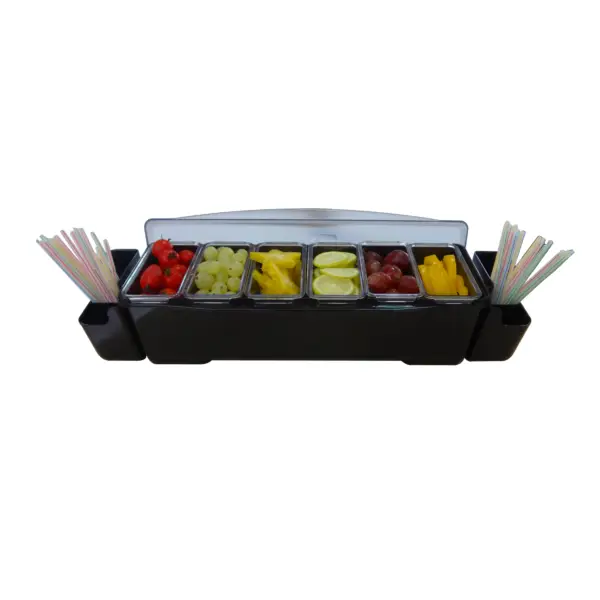Laatste Versie Bar Professional Ingrediëntenbak Tools 58 x 17 cm 10-vaks Kunststof Zwart