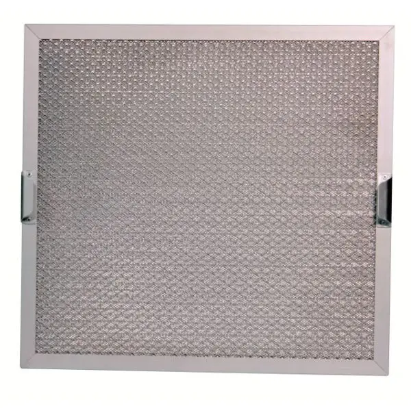 Beste Prijs Gaasfilter rvs 495x495x25