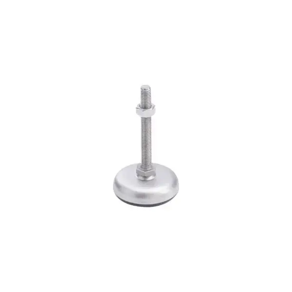 Machinevoet aisi304 - �60mm - m12 h=80mm 20 kn Flitsaanbieding